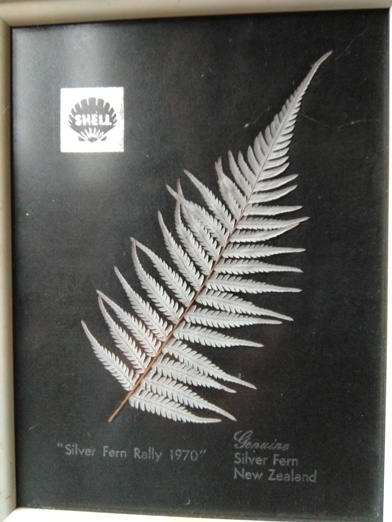 Silverfern 2018 Photos - Simply Better Tairua Stage Timing Team