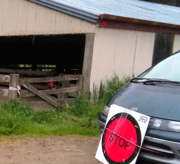 Silverfern 2018 Photos - Simply Better Tairua Stage Timing Team