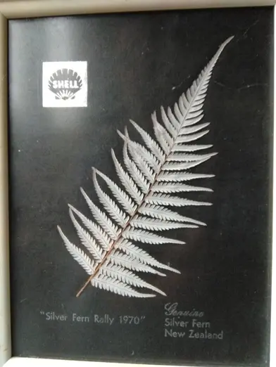 Silver Fern Rally 2018