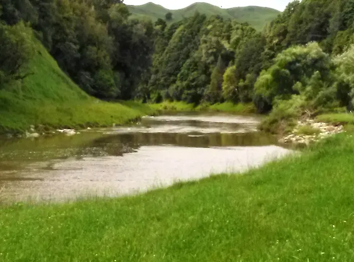 Silver Fern Rally 2018